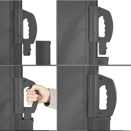 20509484