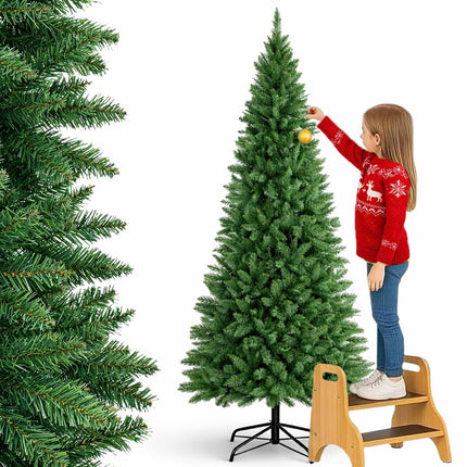 21264884
