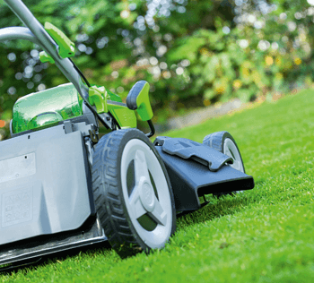 Banner image for: Cura del giardino