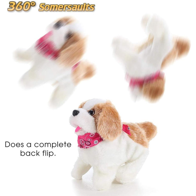 2825699