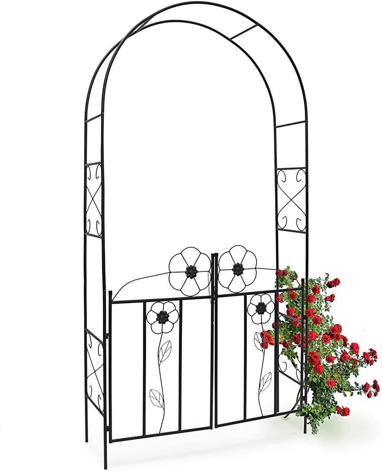 Arco decorativo per rampicanti  Arco da giardino, Giardino, Rose