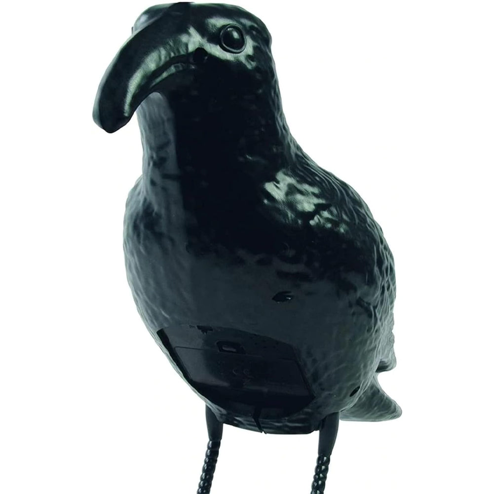 Corvo Dissuasore Statua Spauracchio spaventa passeri piccioni colombi